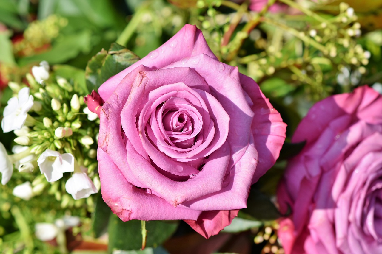 Bulgaria's Rose Festival - A Fragrant Tradition